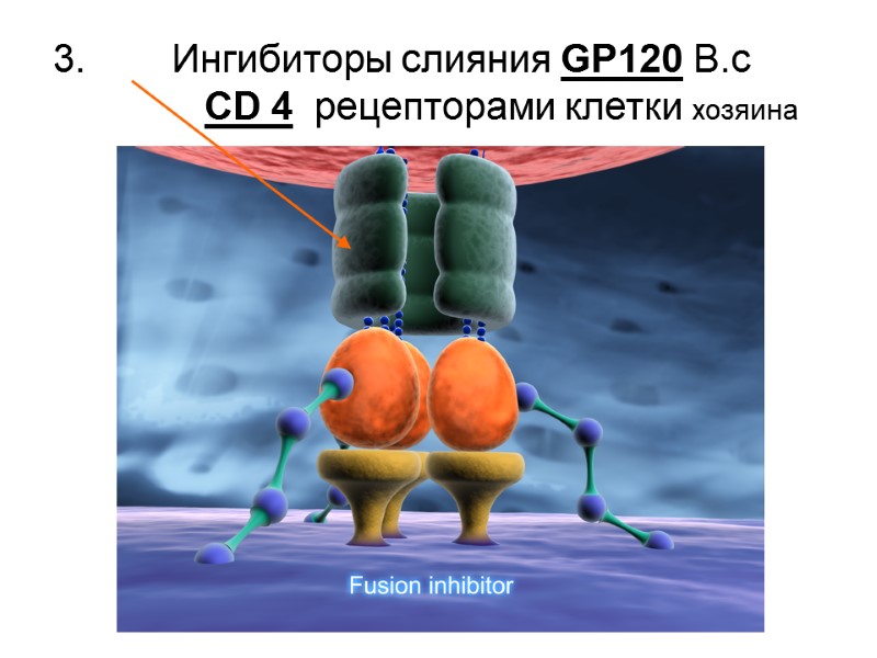 3.        Ингибиторы слияния GP120 В.с  